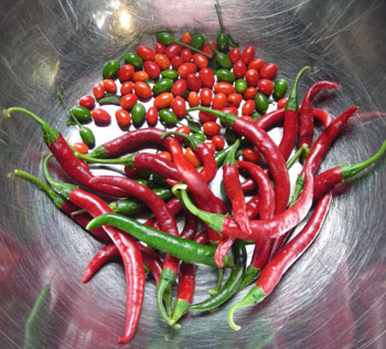 Red and green Cayenne and Texas Bird peppers in a bowl